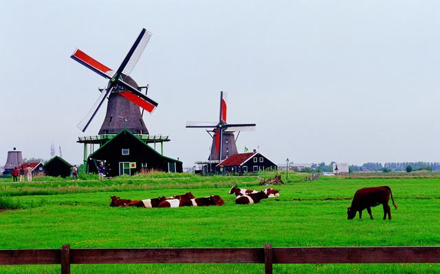 法国“毒奶粉”流入中国，而全球奶源最好的国家癌症发病率也最高