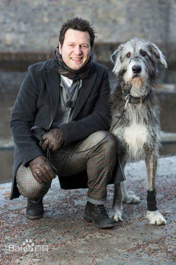 万达王朝时期的北欧外援退役后都干嘛