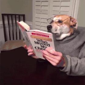 养了狗以后总破财,养了狗才知道没那么简单