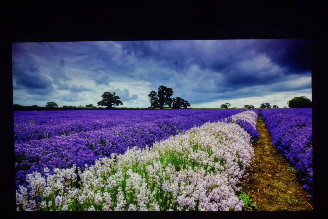 入门级家庭影院配置方案,优派px726hd投影机