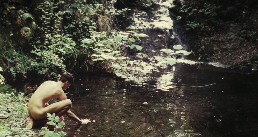 黑色面包红豆相思,黑色面包电影所有真相