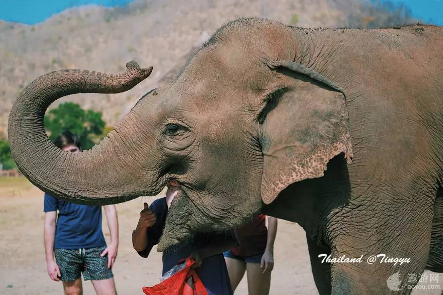 旅游攻略泰国免费,攻略带你了解最美的泰国景点