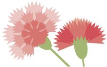 胡适我的母亲,胡适散文我的母亲