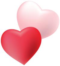 关于刺猬的问题有哪些,关于刺猬的生活常识