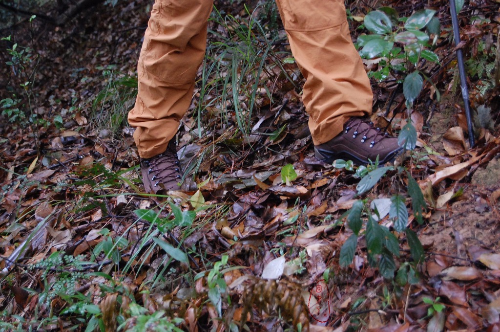 实测LOWA经典登山鞋RENEGADE,让我更从容面对自然