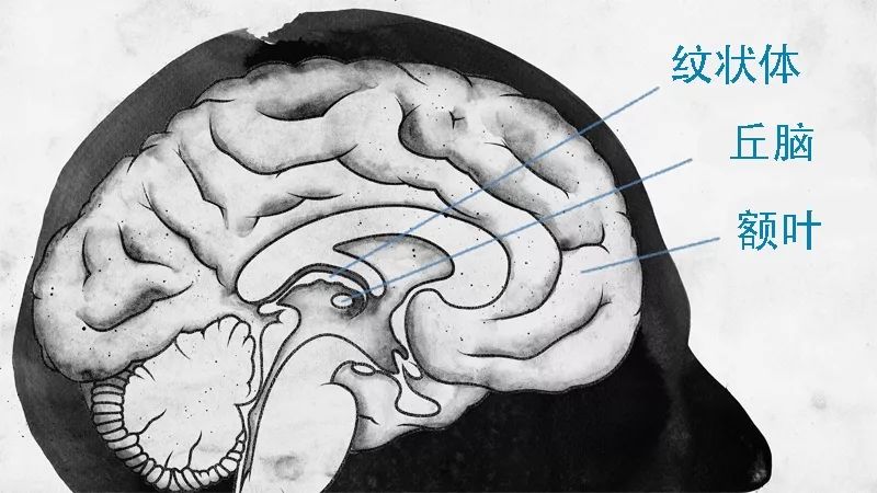 死亡是什么,死亡到底是意味着什么