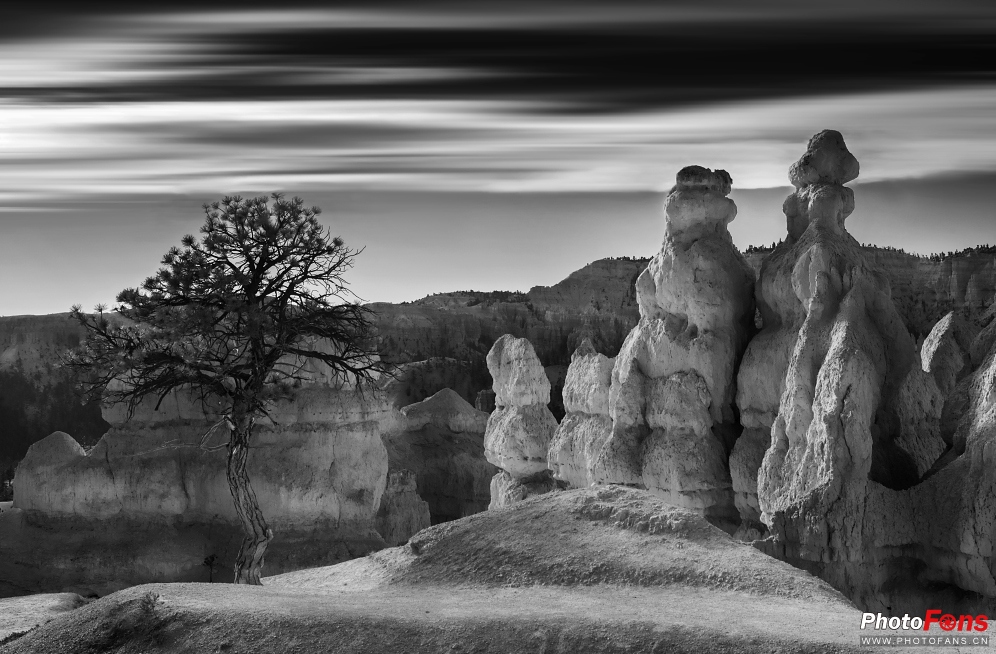 腾龙超长焦变焦镜头50-400mm,腾龙sp24-70mmf2.8