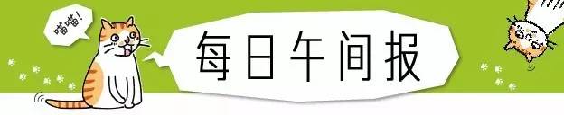 潮狗道格“爷是你无法攀登到的高度”丨每日午间报