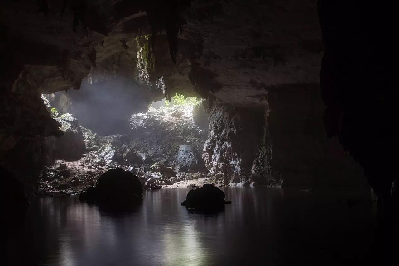 黔南原始森林风景,遇见森林风景