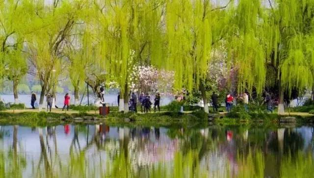 杭州自然现象,西湖十大奇怪现象