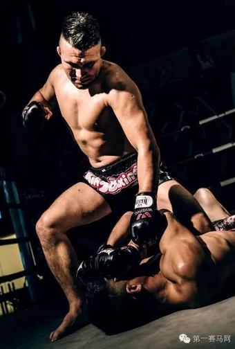 拳坛名人“天山雪豹”购入纯血马引发轰动