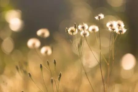 学生评教差,学生敷衍了事怎么办