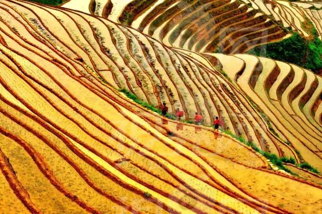 2018一个人的旅行,2018年等一个人陪我一起去西藏