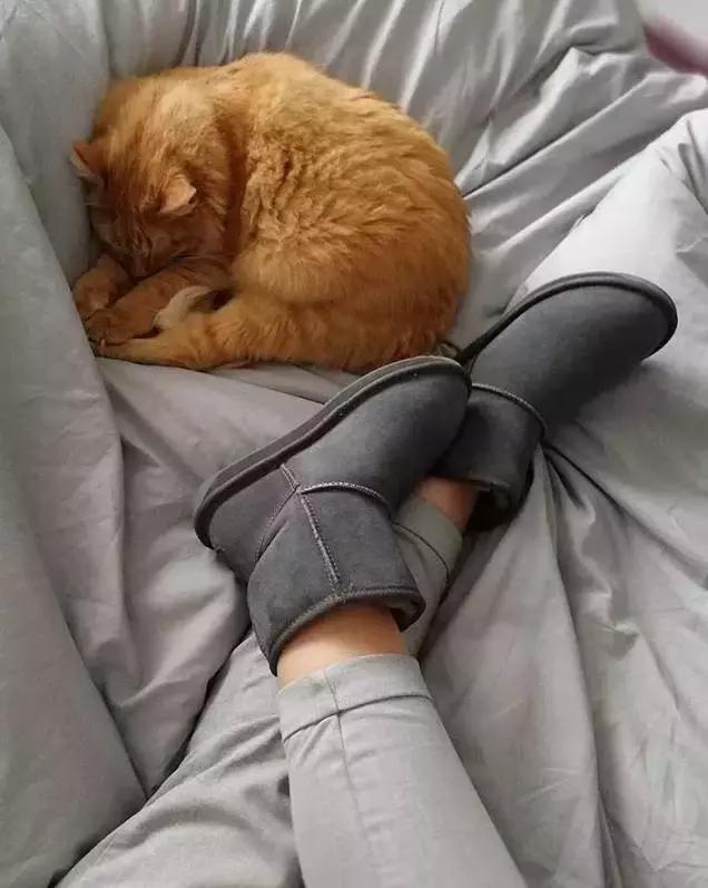 除了ugg还有什么品牌,不输ugg的平价雪地靴