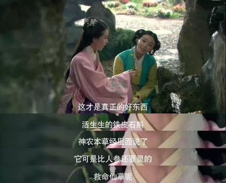 看剧学中医？麝香致不孕、艾叶安胎、阿胶补血都是古装剧瞎编的