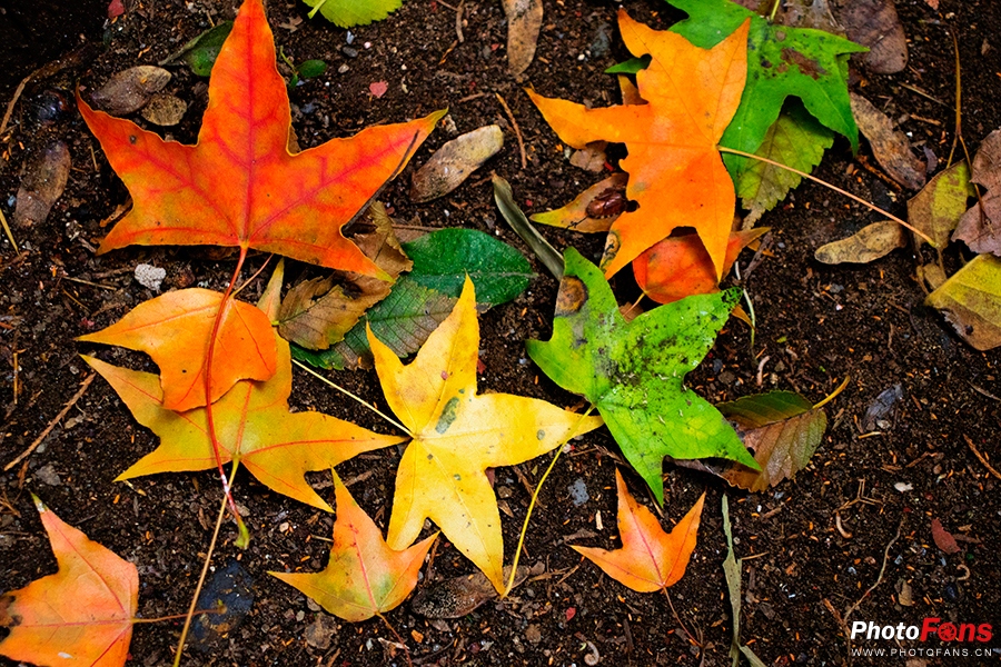 佳能eos800d摄影视频,相机初学者推荐佳能800d