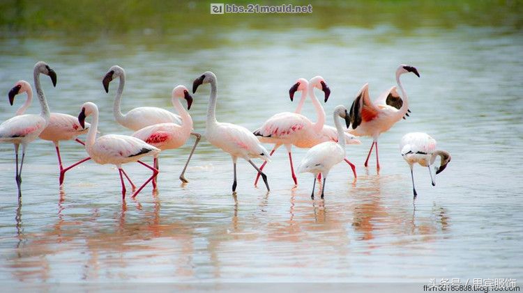 童装连锁店10大品牌免费铺货,中童男童装8-16岁潮牌怎样做陈列