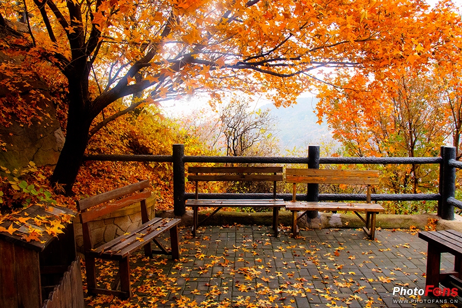 佳能eos800d摄影视频,佳能eos800d拍出来是黑白的