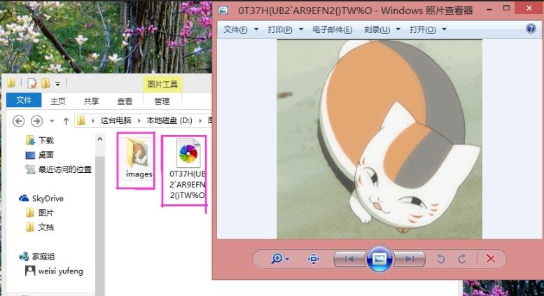 如何制作免费动图,教你自己制作动图