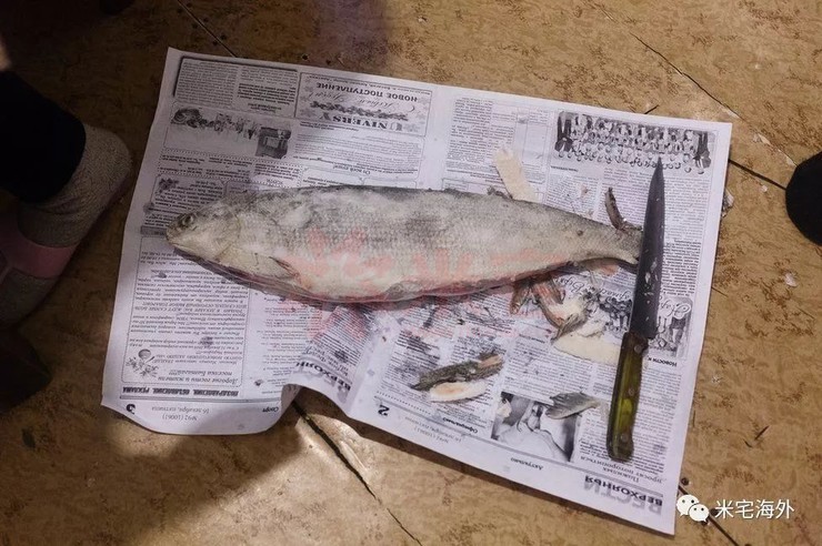 零下60多度农村怎么生活,俄罗斯西伯利亚最冷村庄零下70度