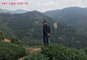 三红柚与小罐茶，嗨农宝共享农业模式获白领阶层喜爱