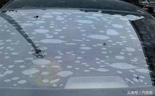 车窗贴膜两年后起泡泡什么原因,后车窗玻璃贴膜起泡能过车检吗