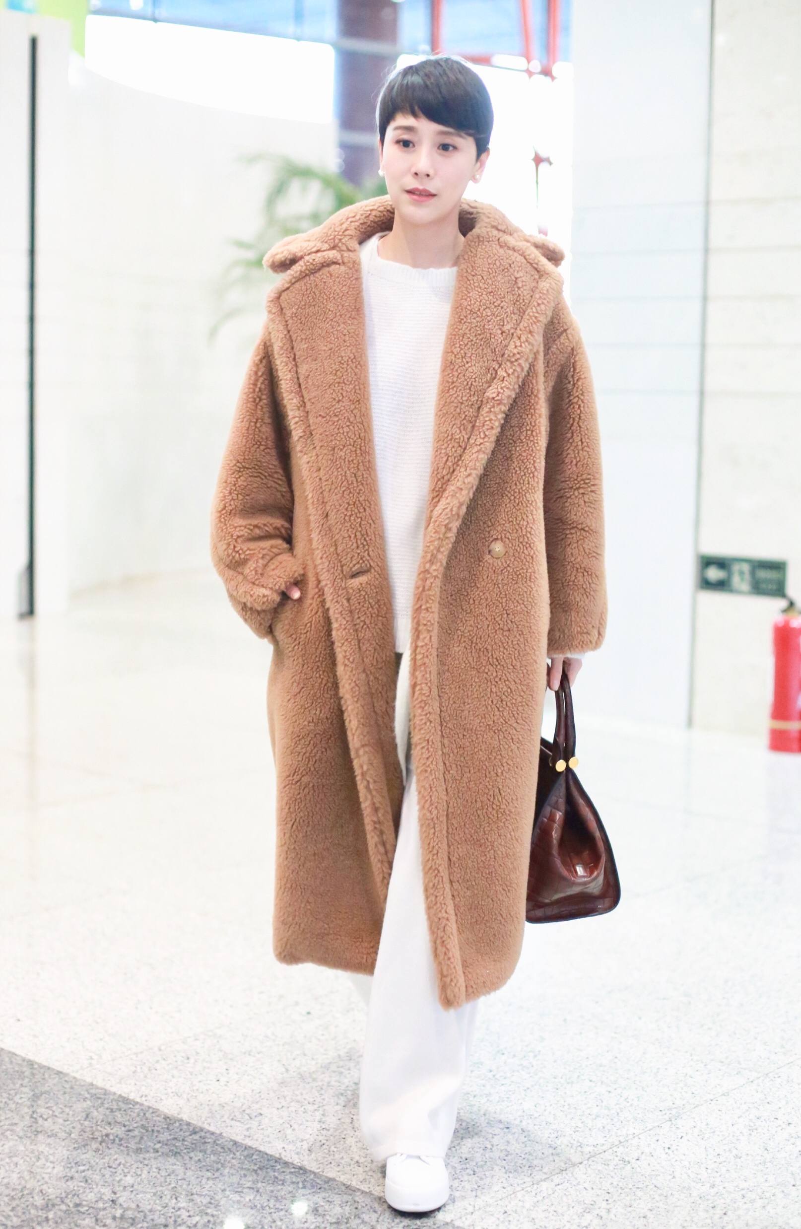 明星有几件泰迪熊大衣,明星泰迪熊大衣搭配