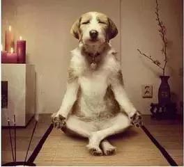 佛系B2B，我佛大慈悲