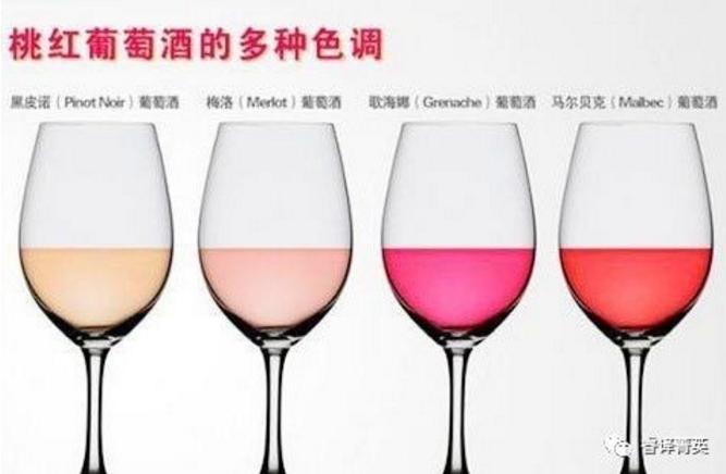 「睿译足迹」法兰西风情(二):法国美酒