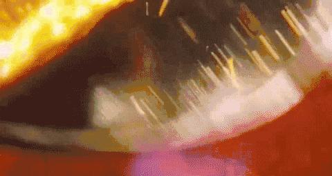 LadyM值得排?其实老美吃得比我们糙多了!但是伦家开心啊!