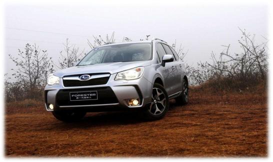 生来即胜千车骏——那些值得品味的车型（下）