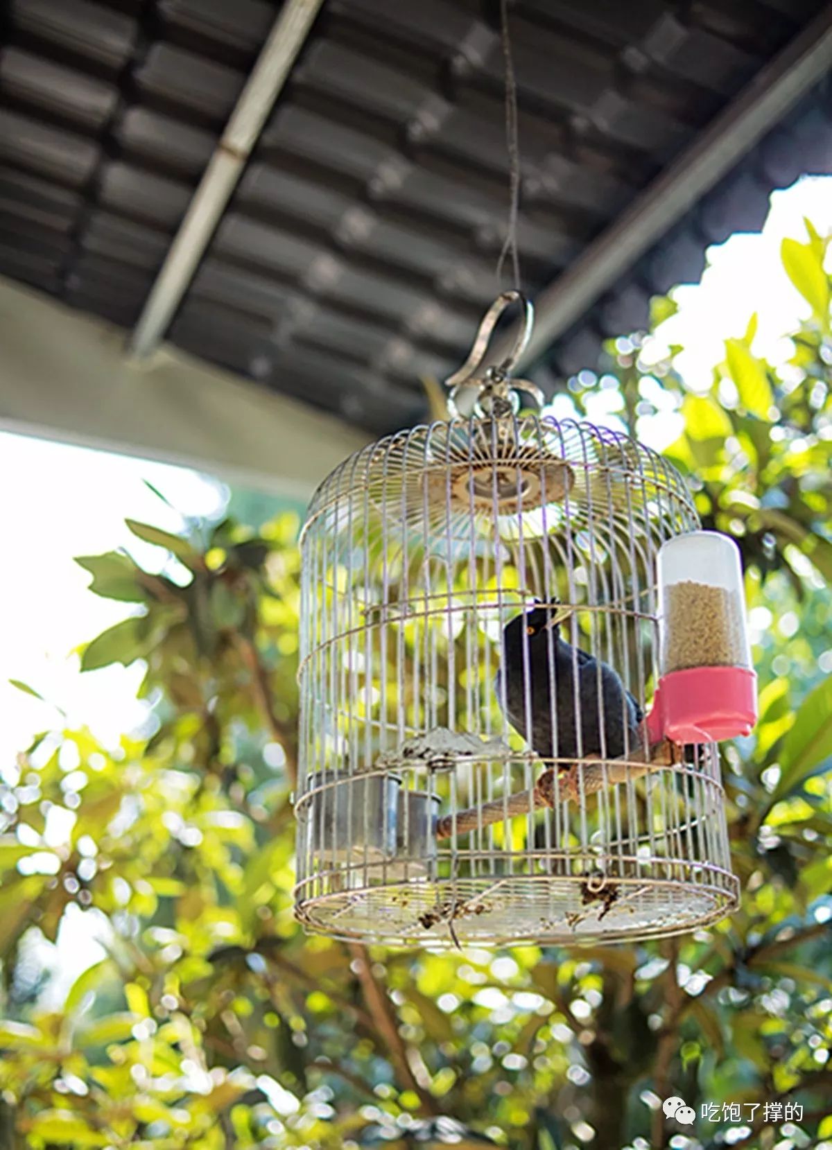 太平镇有家躲在山间不求赚钱只求人气的山庄