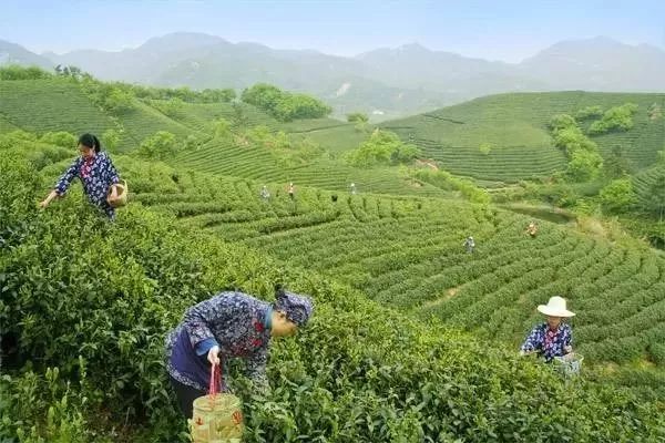 复兴号全面启动,四川广元复兴号