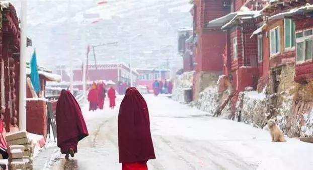 一下雪峨眉山就成了仙境,一下雪川西便美成了天堂