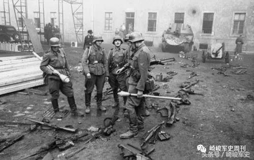 矢车菊凋谢在多瑙河畔：*党**卫军第22“玛丽亚·特蕾莎”骑兵师简史