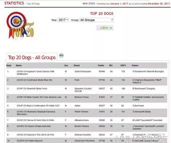akc最受欢迎犬种排名,akc将犬种分为七个组别分别是