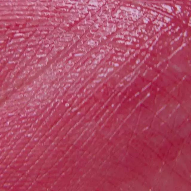 吃土必买的十支口红,吃土必买的十款口红