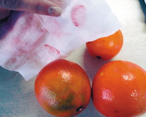 橙子爆珠怎么辨真假,橙子苗怎么鉴别真假