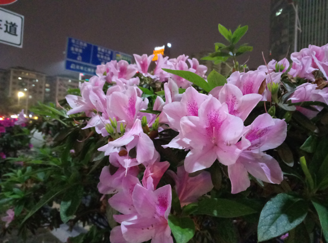 全面升级评测,魅蓝note升级体验