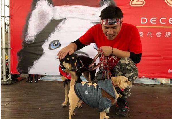 雪橇犬哈士奇比赛,雪橇竞速哈士奇