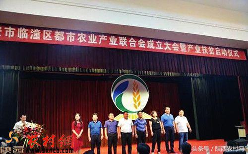 临潼区农林局发展都市生态农业助力精准扶贫