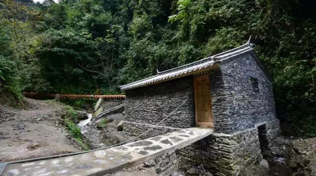 无量山樱花谷夏天,无量山樱花谷雾里看花