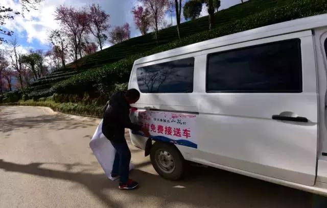 无量山樱花谷夏天,无量山樱花谷雾里看花