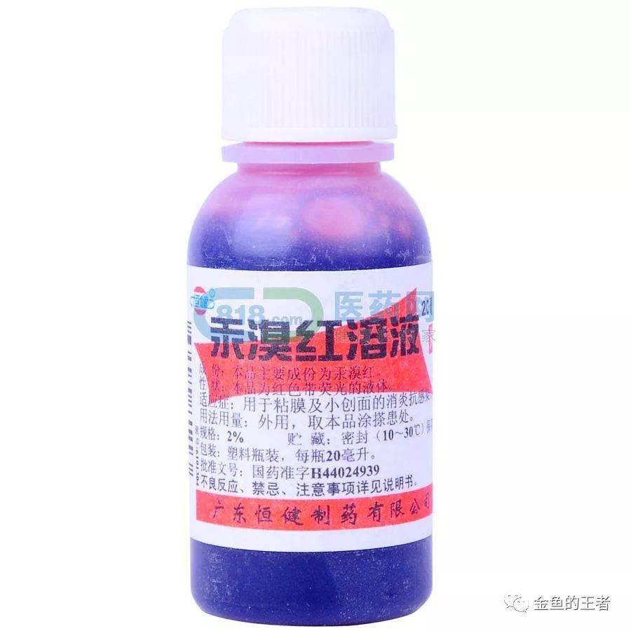 金鱼有哪些问题,金鱼出毛病