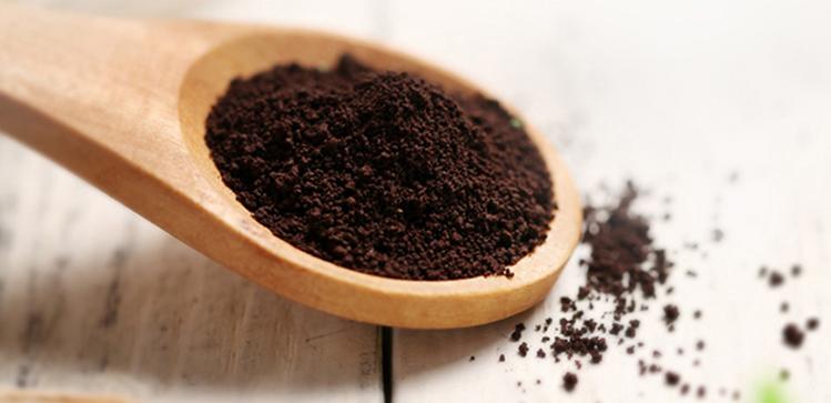 长期吃灵芝孢子粉危害,同仁堂灵芝孢子粉价格