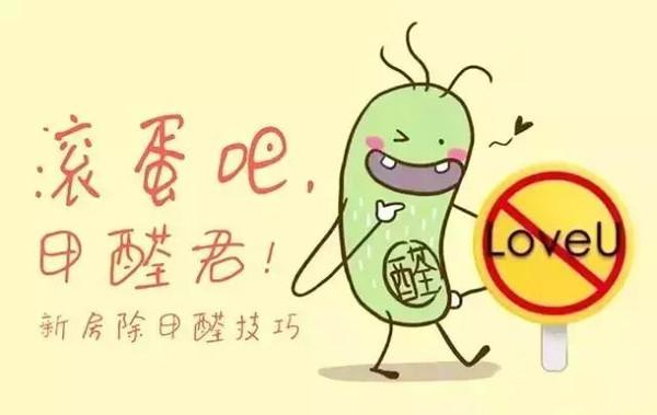 除甲醛的人真的能把甲醛除掉么,如何科学方法除甲醛