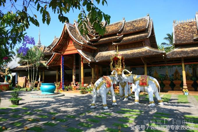 西双版纳穿越热带雨林攻略,西双版纳雨林旅游攻略