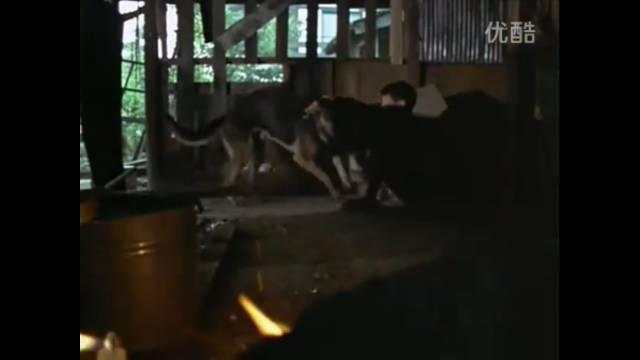 所有的奥特曼早期时候的样子,回顾十几年前看过的奥特曼