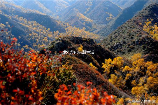 固阳县野秦长城,内蒙古包头固阳长城