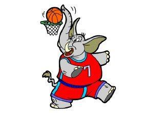 十二星座天蝎练田径行吗,十二星座适合当什么运动员